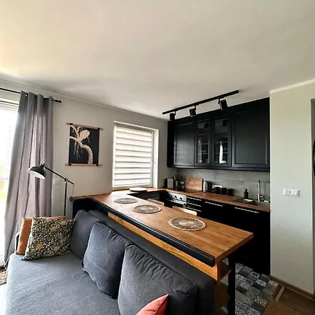 Apartment Centre Iii Katowice